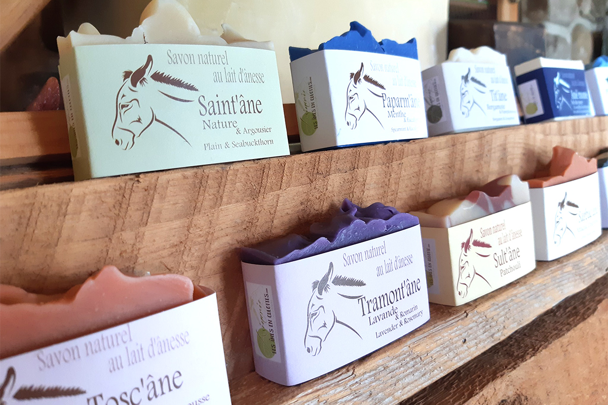 Nos produits - Savon naturel au lait d'ânesse - Asinerie Les ânes en culottes - Ste-Anne de la Rochelle
